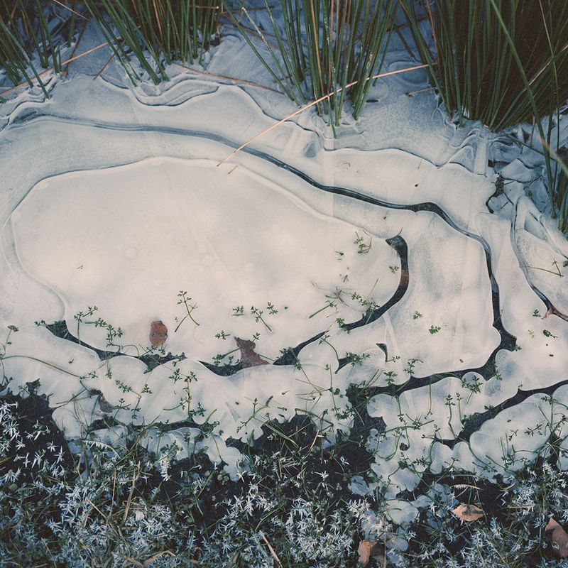 © Mirjam Stenevik - Spring came early, but then winter made a return.