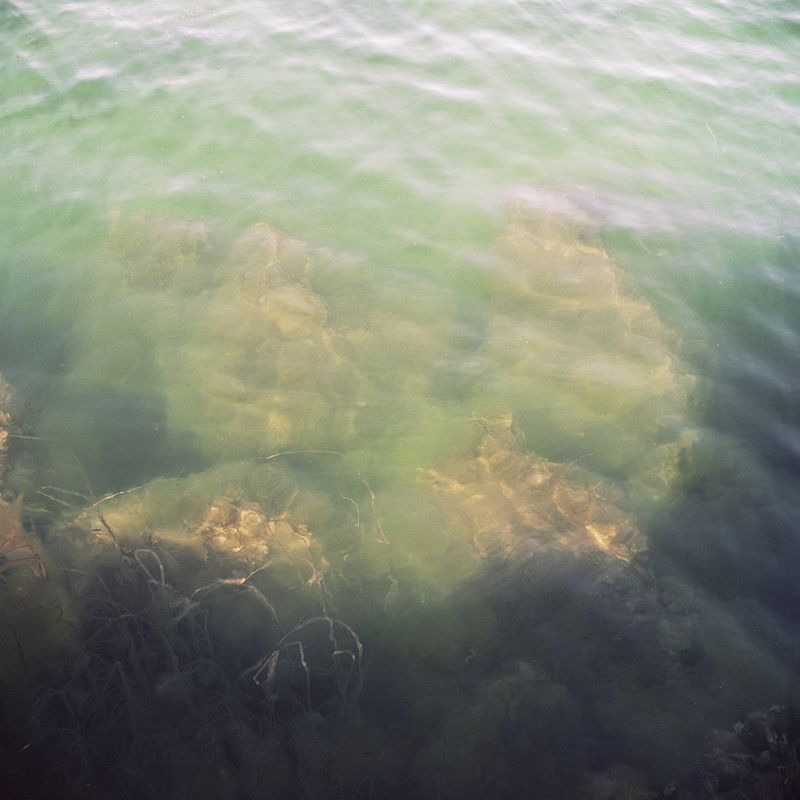© Mirjam Stenevik - It's getting greener.