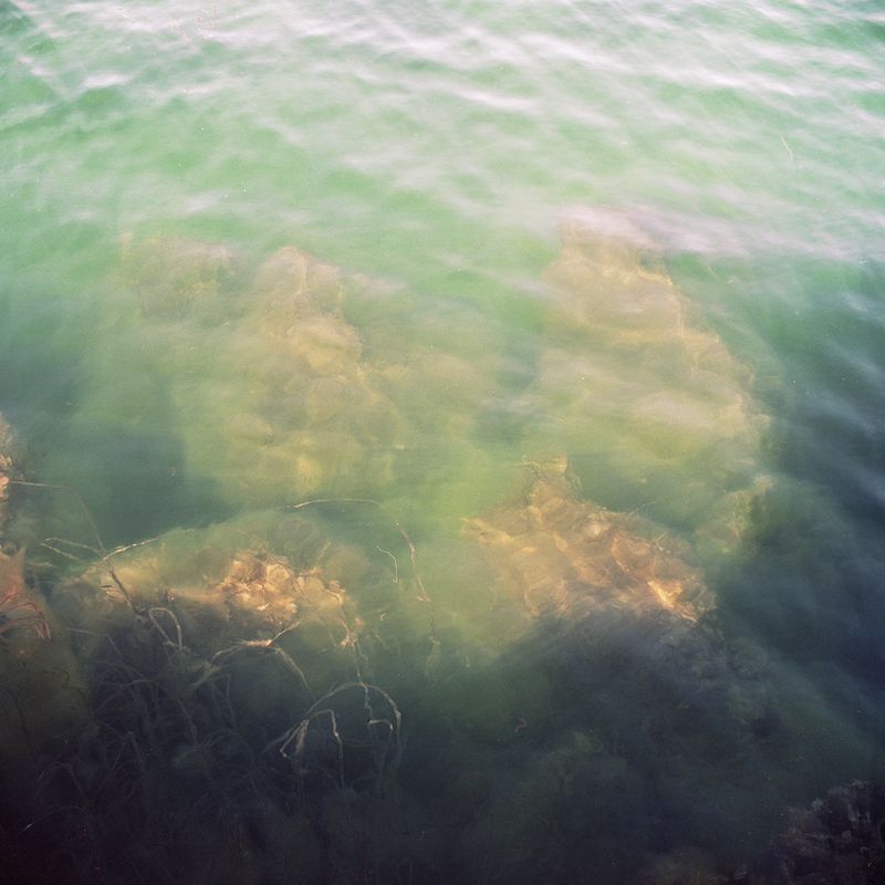 © Mirjam Stenevik - It's getting greener.