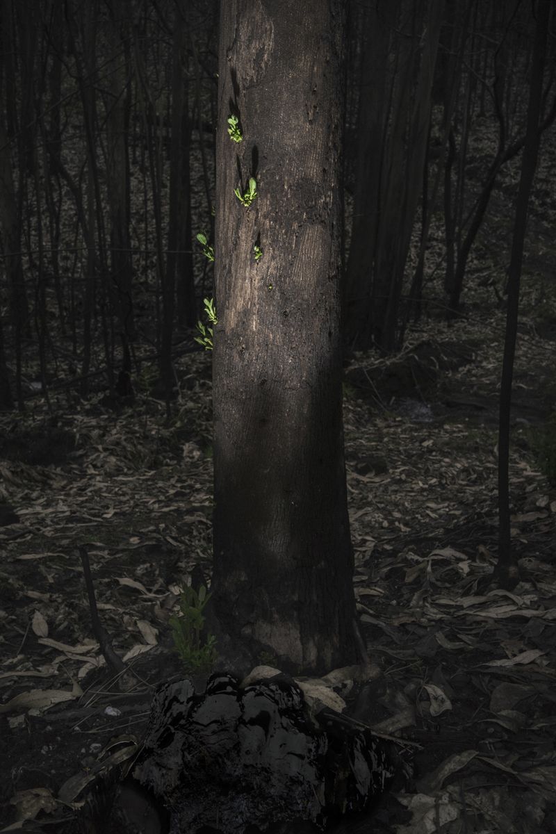 © Ariadna Silva Fernández - Image from the Cartografía do esquecemento (Cartography of oblivion) photography project