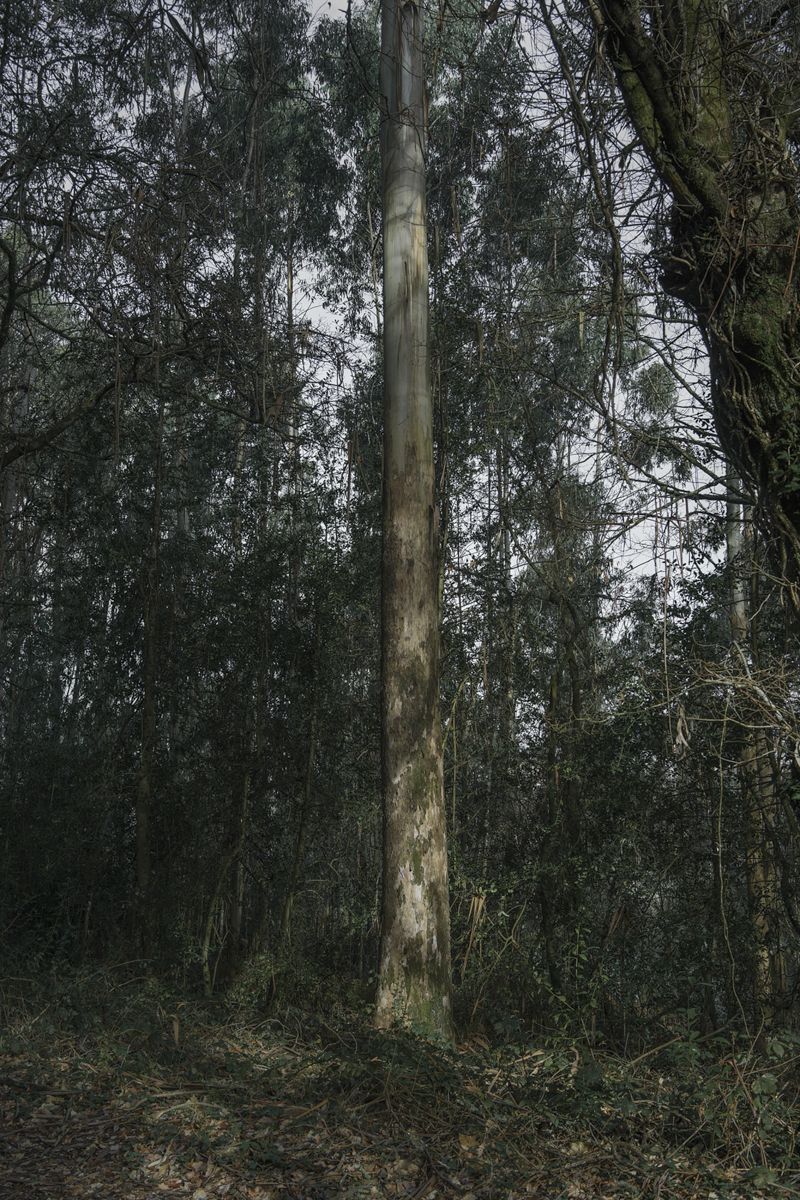 © Ariadna Silva Fernández - Image from the Cartografía do esquecemento (Cartography of oblivion) photography project