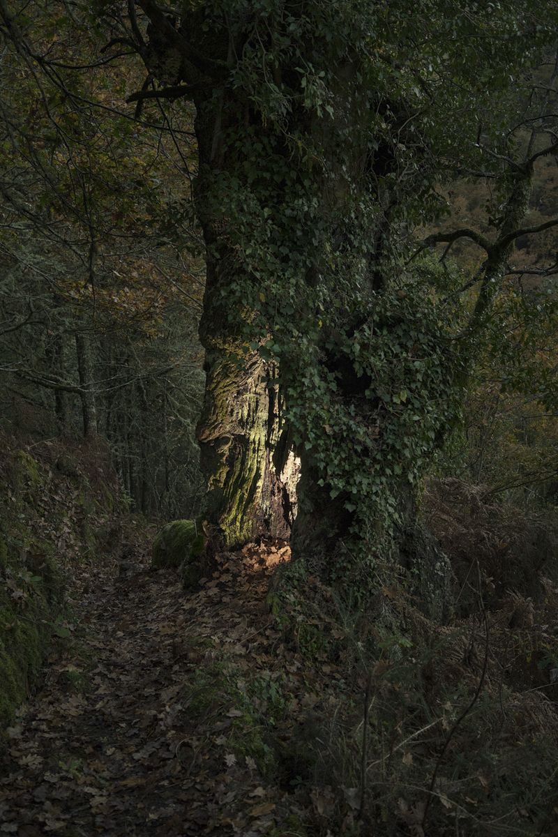 © Ariadna Silva Fernández - Image from the Cartografía do esquecemento (Cartography of oblivion) photography project