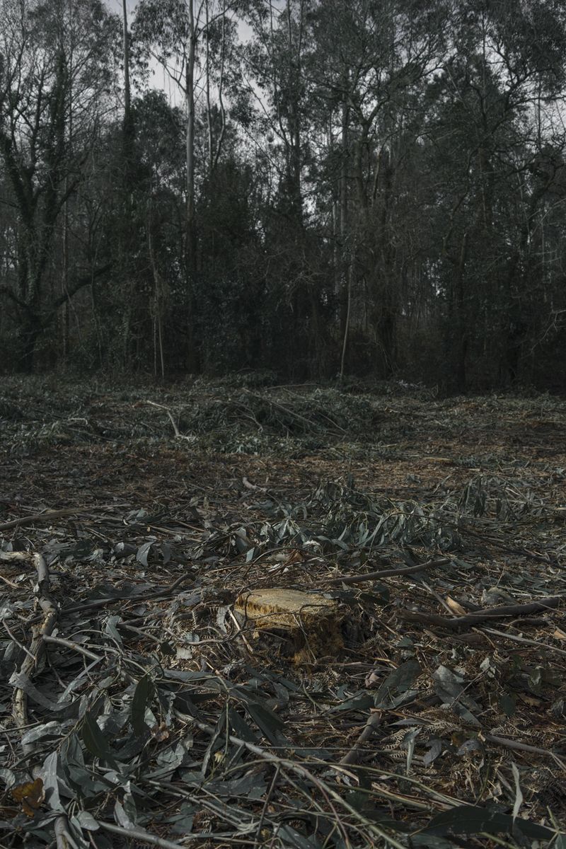 © Ariadna Silva Fernández - Image from the Cartografía do esquecemento (Cartography of oblivion) photography project