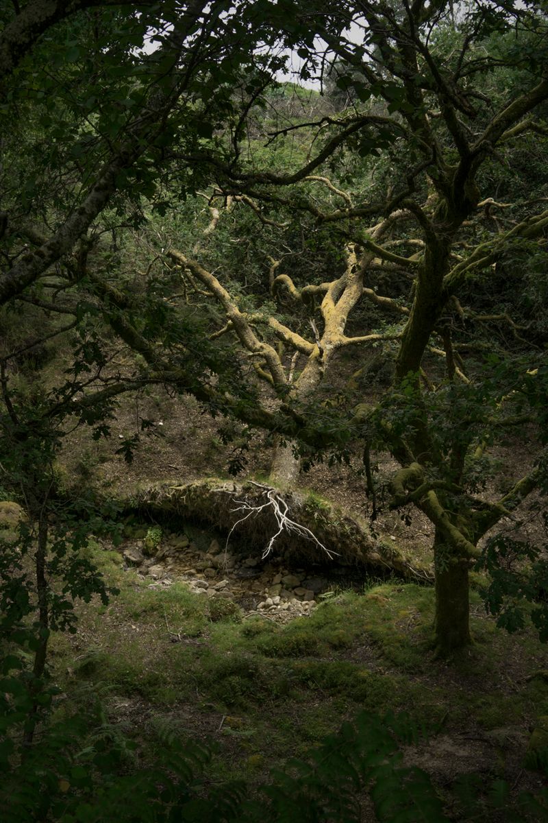 © Ariadna Silva Fernández - Image from the Cartografía do esquecemento (Cartography of oblivion) photography project