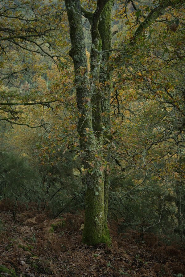 © Ariadna Silva Fernández - Image from the Cartografía do esquecemento (Cartography of oblivion) photography project