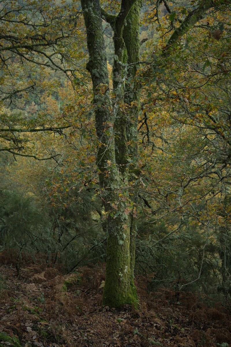 © Ariadna Silva Fernández - Image from the Cartografía do esquecemento (Cartography of oblivion) photography project