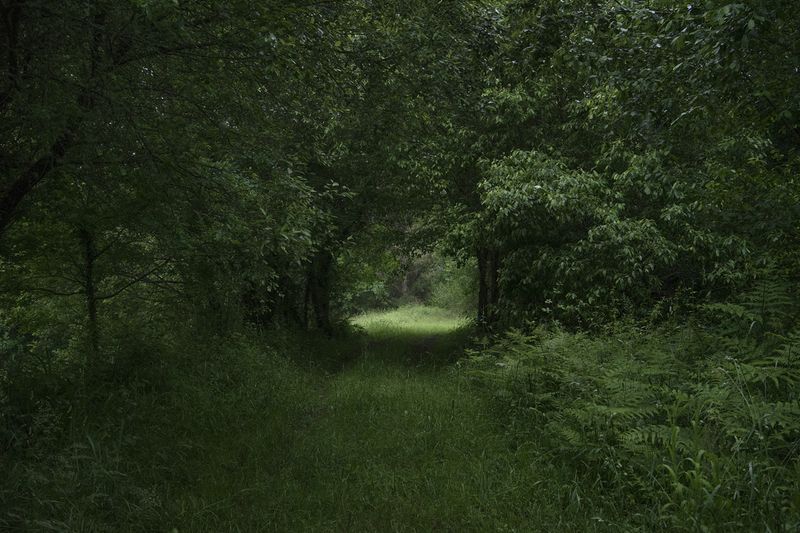 © Ariadna Silva Fernández - Image from the Cartografía do esquecemento (Cartography of oblivion) photography project