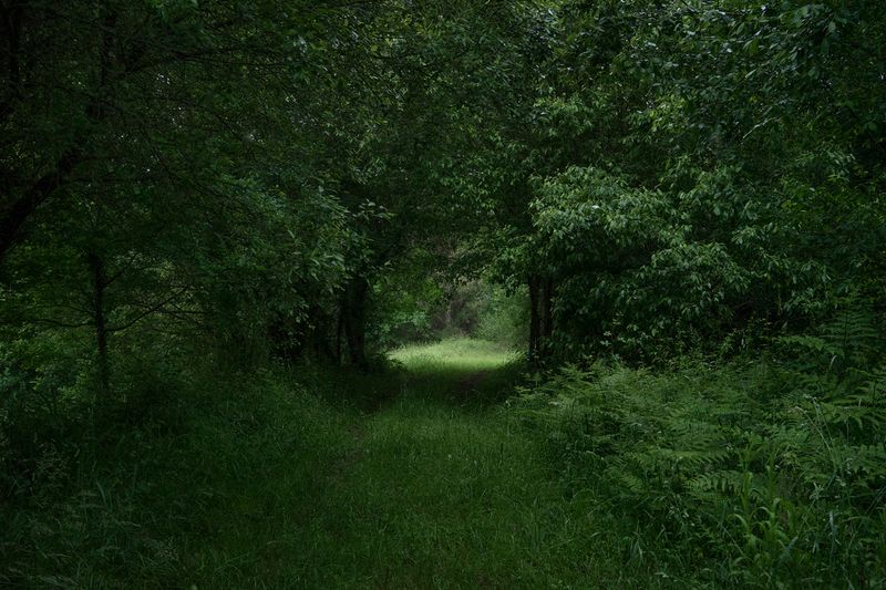 © Ariadna Silva Fernández - Image from the Cartografía do esquecemento (Cartography of oblivion) photography project