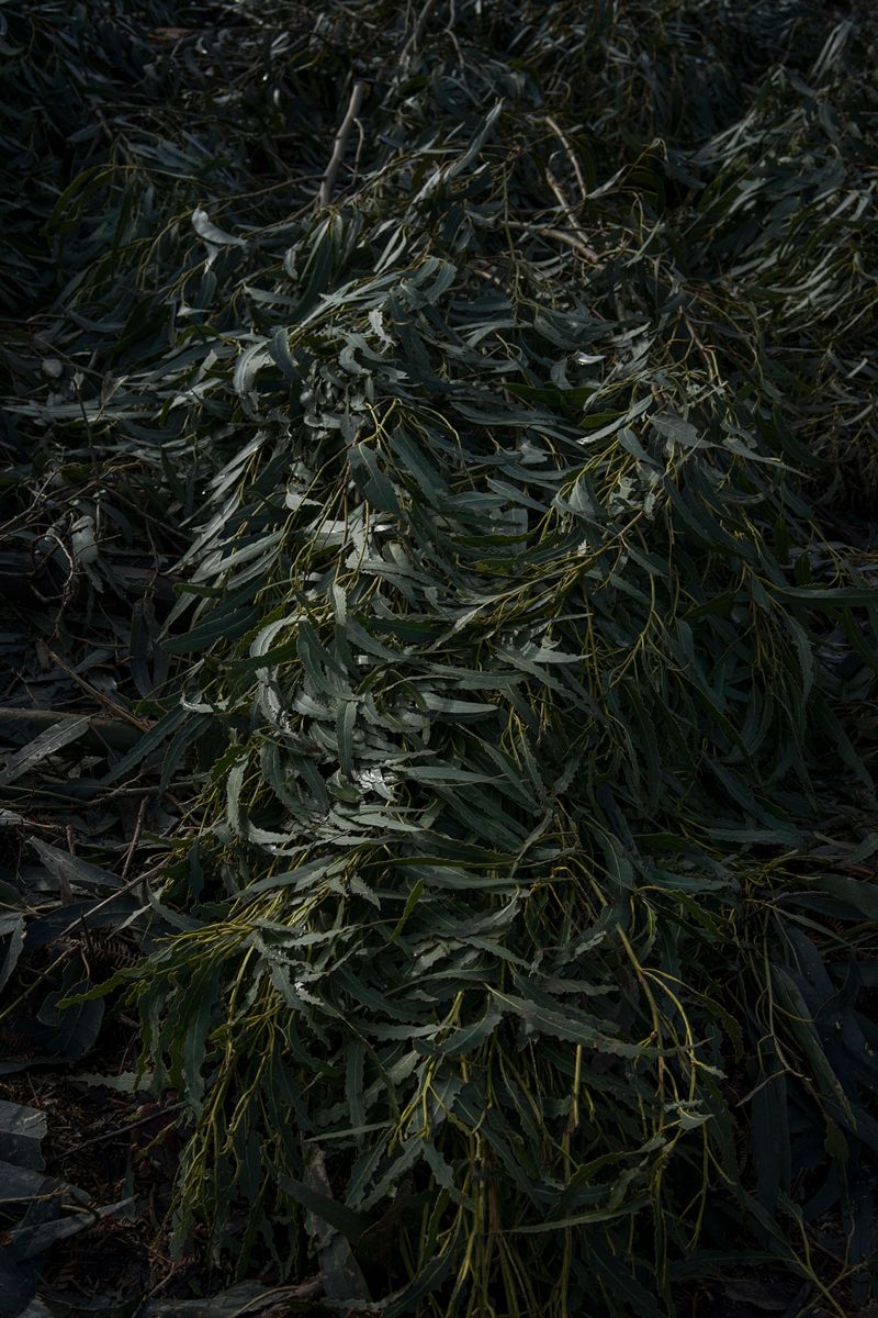 © Ariadna Silva Fernández - Image from the Cartografía do esquecemento (Cartography of oblivion) photography project