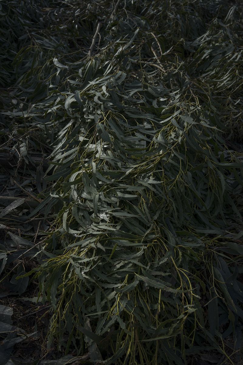 © Ariadna Silva Fernández - Image from the Cartografía do esquecemento (Cartography of oblivion) photography project