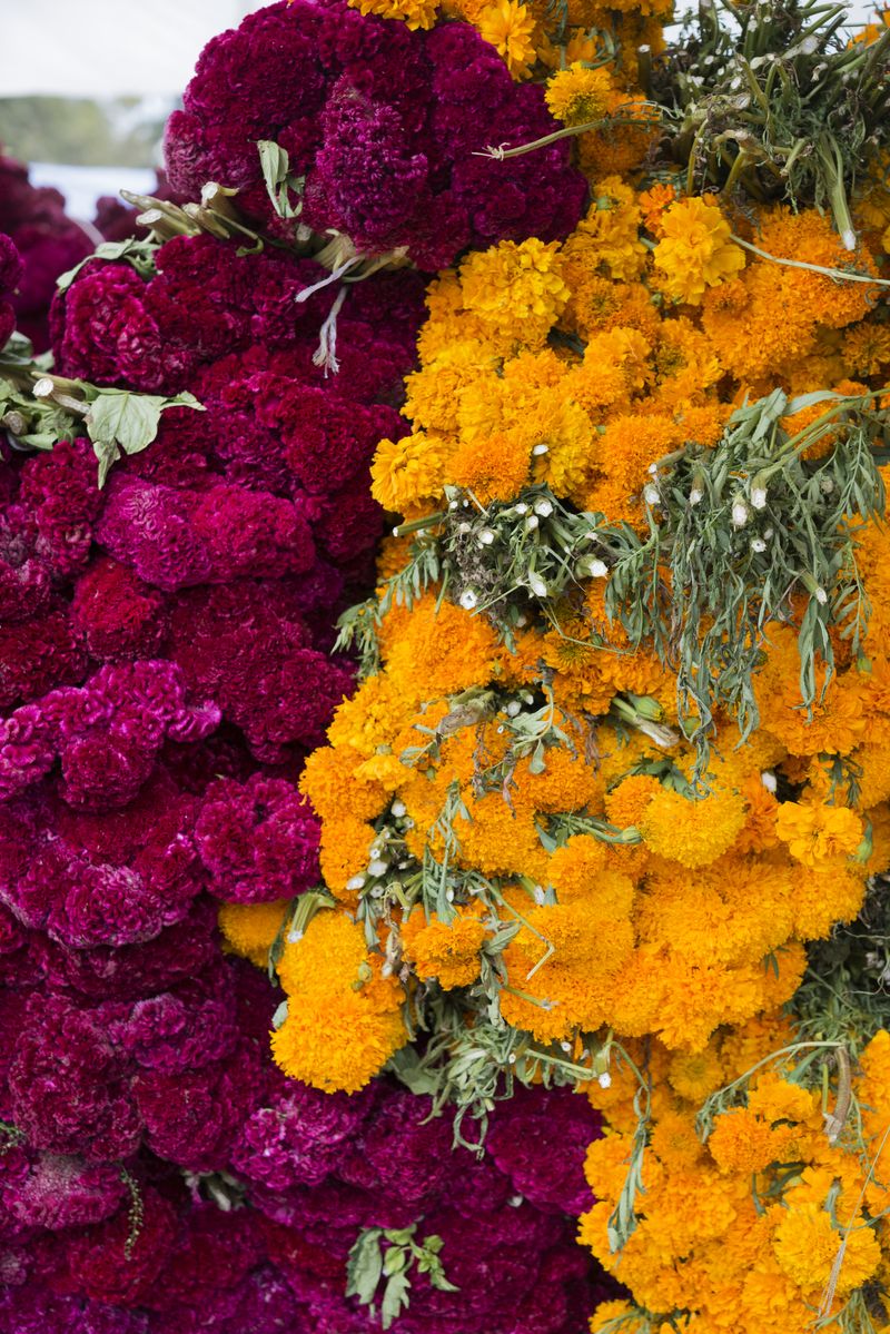 © Juliette Angotti - Day of the Dead