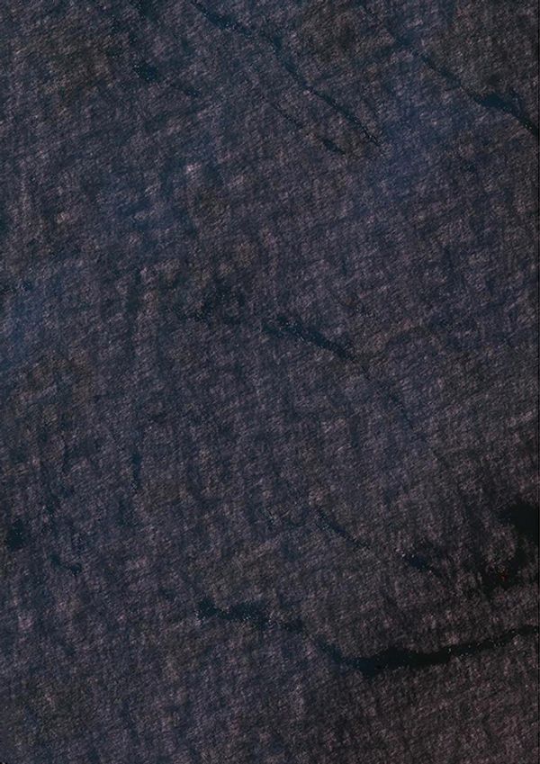 © Audrey Albert - Chagos Archipelago, Google map, 2017