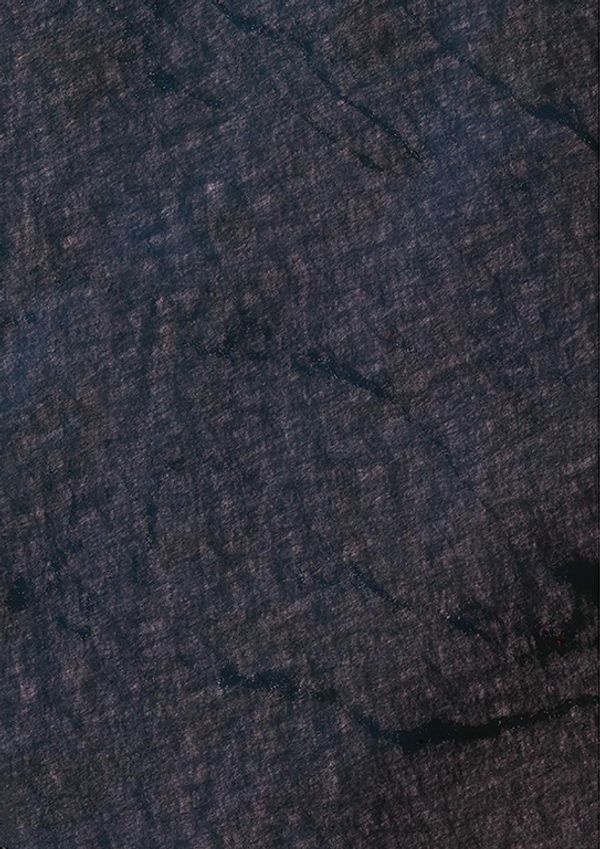 © Audrey Albert - Chagos Archipelago, Google map, 2017