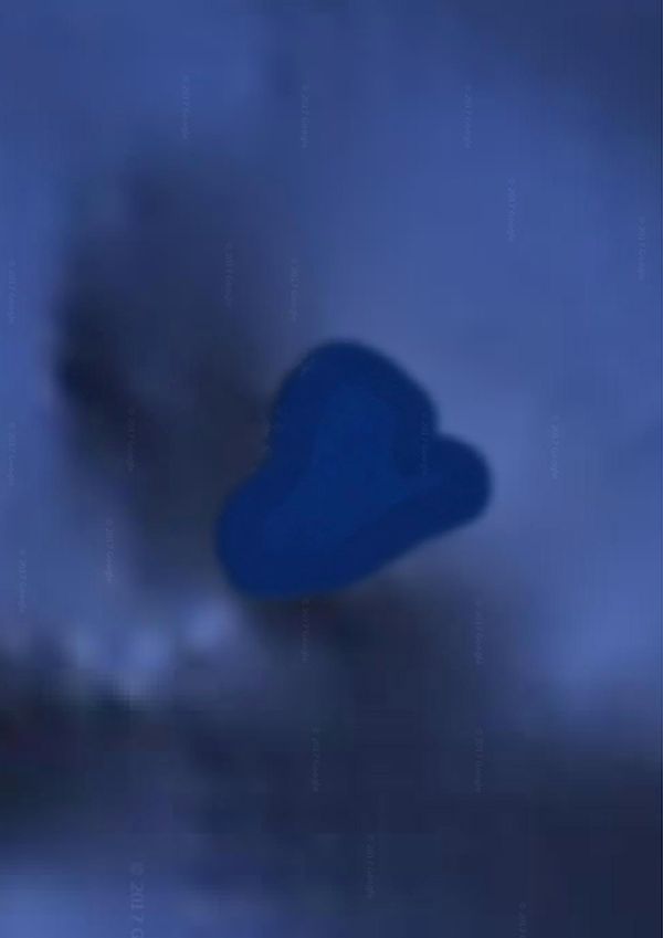 © Audrey Albert - Chagos Archipelago, Google map, 2017