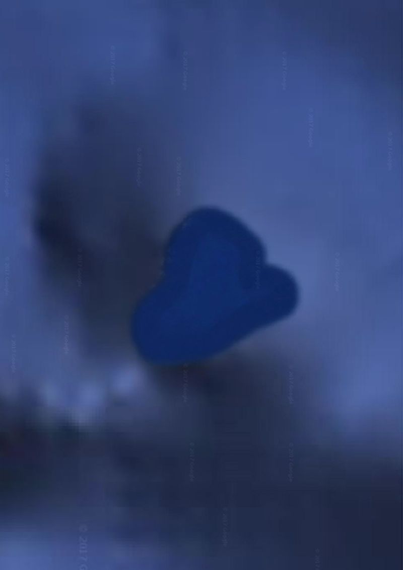 © Audrey Albert - Chagos Archipelago, Google map, 2017