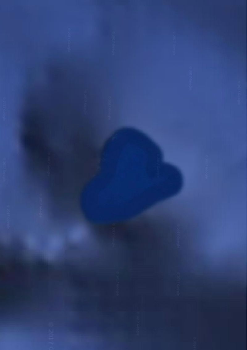 © Audrey Albert - Chagos Archipelago, Google map, 2017