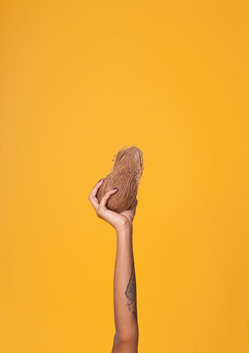 © Audrey Albert - Coconut chaos, 2017