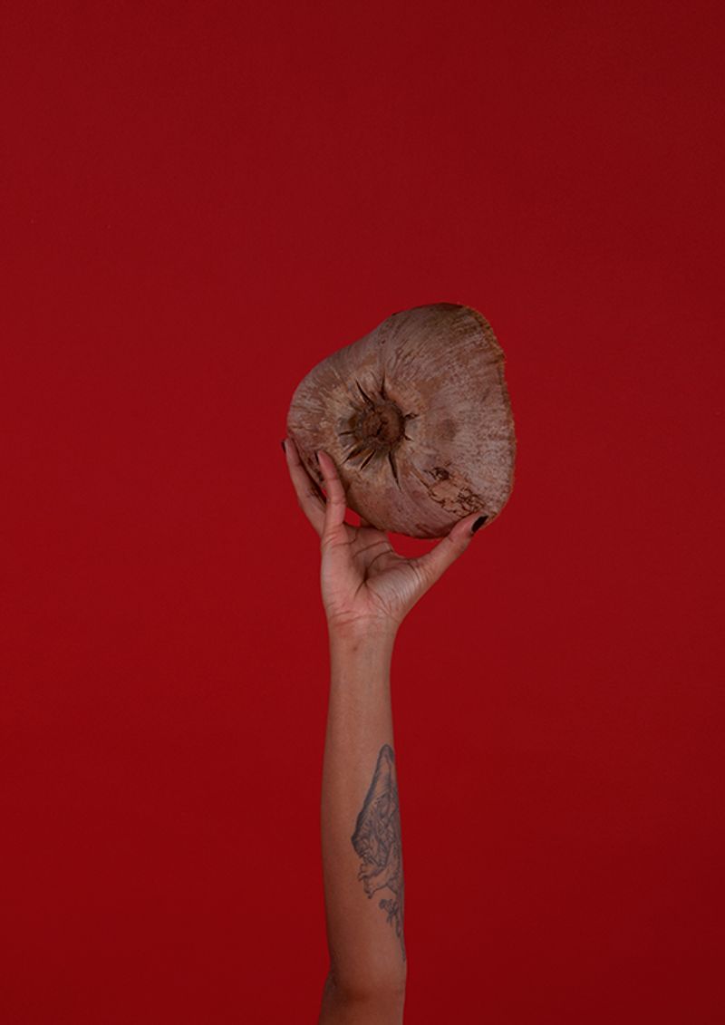 © Audrey Albert - Bross koko (Handmade coconut scrubbing brush), 2018