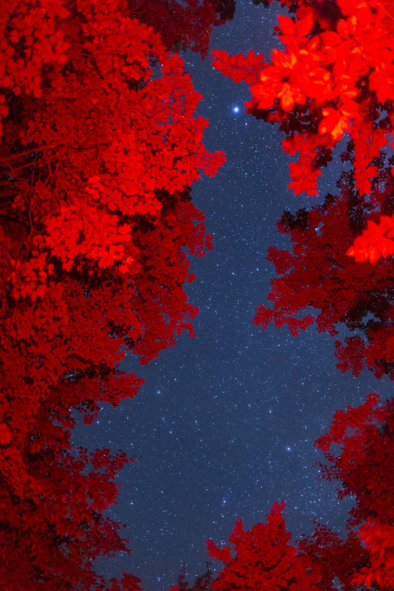 © Robert Ormerod - Image from the Above Us The Day photography project