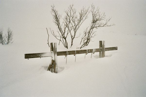 © Ard Klein - Image from the Waiting to be used again photography project
