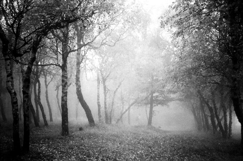 © Arlau - Image from the Memories in Mist photography project