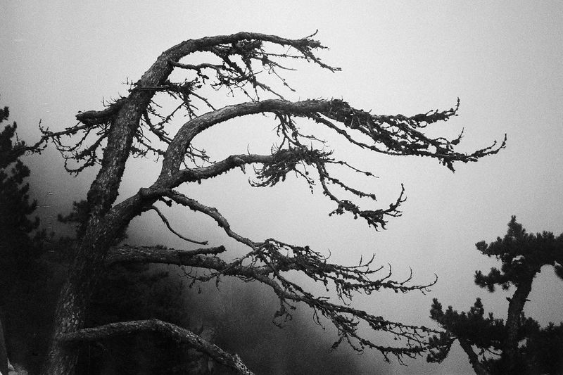 © Arlau - Image from the Memories in Mist photography project