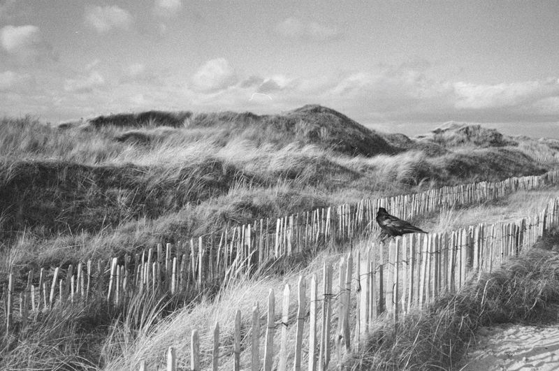 © Arlau - Image from the Memories in Mist photography project