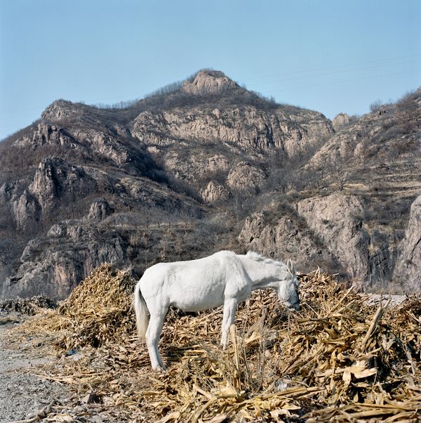 © Xiaoxiao Xu - Image from the Watering my Horse by a Spring at the Foot of the Long Wall photography project
