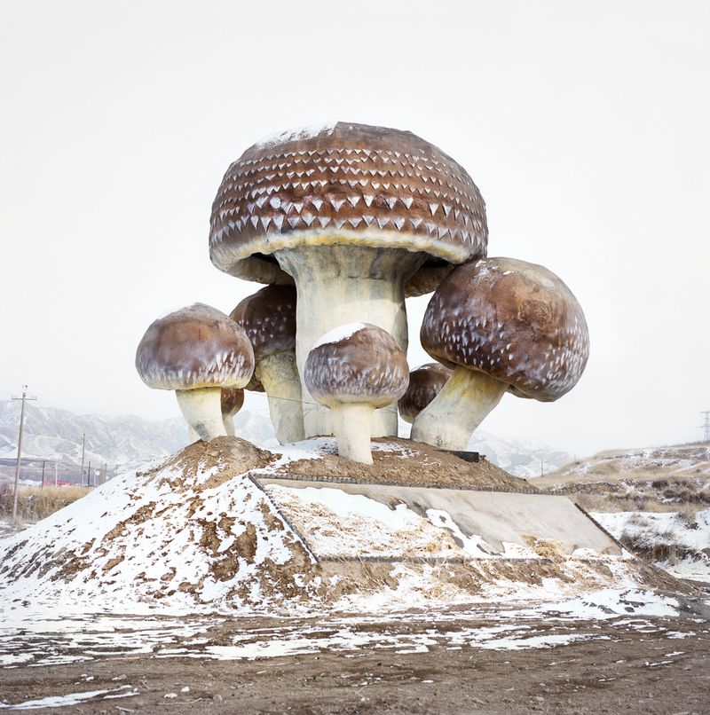 © Xiaoxiao Xu - Image from the Watering my Horse by a Spring at the Foot of the Long Wall photography project
