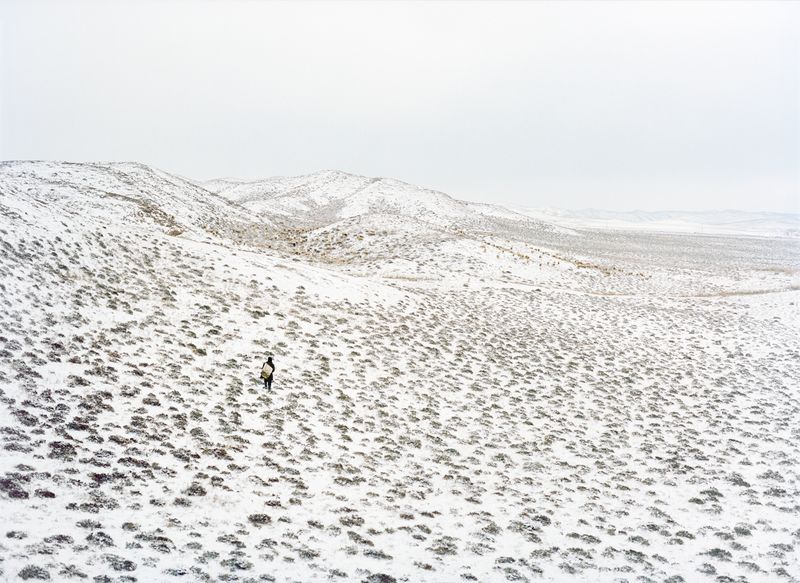 © Xiaoxiao Xu - Shepherd and Flock in a Snow-Covered Landscape