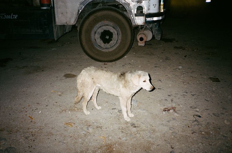 © Xiaoxiao Xu - Image from the Good Luck Blow Horn photography project