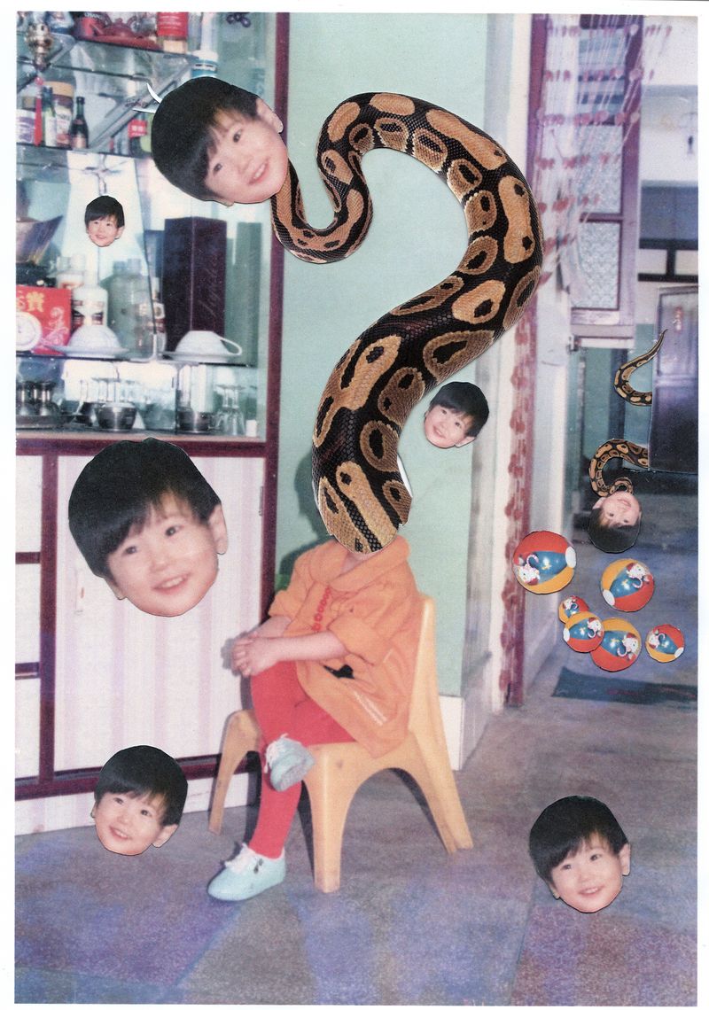 © Xiaoxiao Xu - Image from the Spider, Snake, Turtle and Dragon photography project