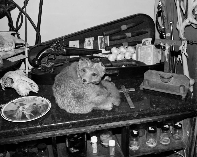 © Alice Poyzer - Untitled, 2024