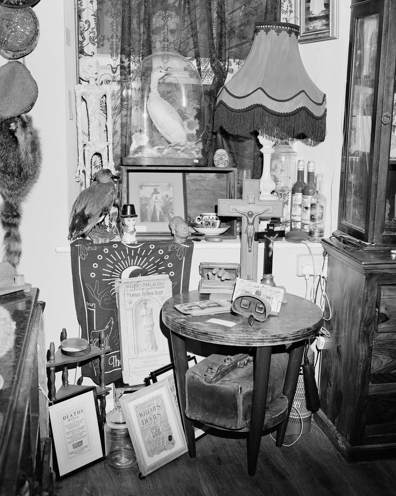 © Alice Poyzer - Untitled, 2024