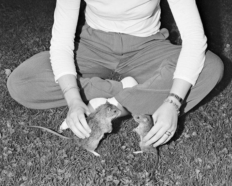 © Alice Poyzer - Best Friends, 2024