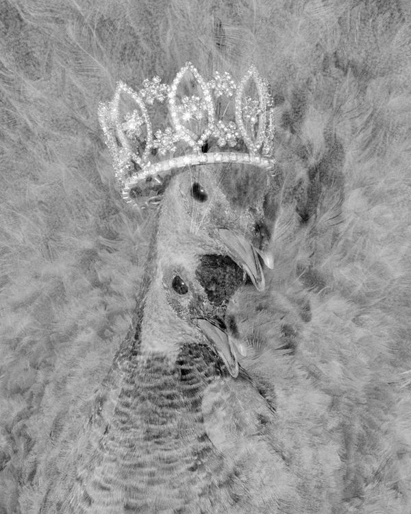 © Alice Poyzer - Princess, 2024