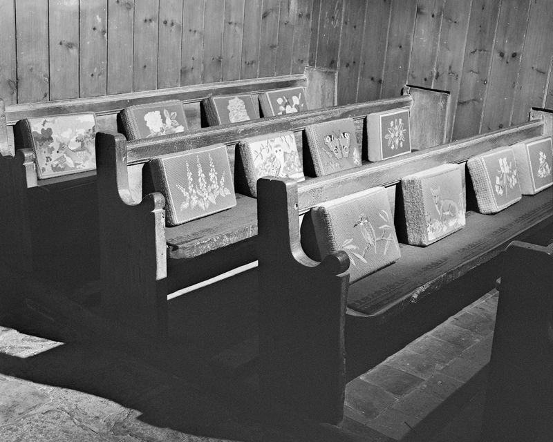 © Alice Poyzer - Stuffed Animals, 2024