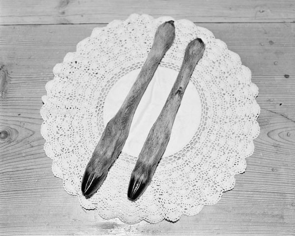 © Alice Poyzer - Untitled, 2024