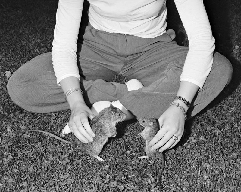 © Alice Poyzer - Best Friends, 2024