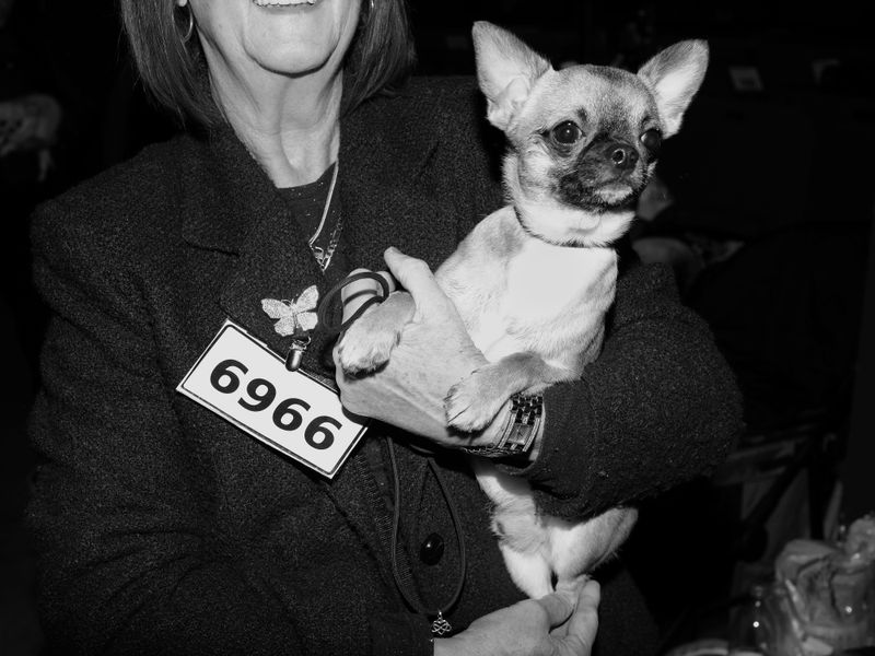 © Alice Poyzer - Cooper, 2024