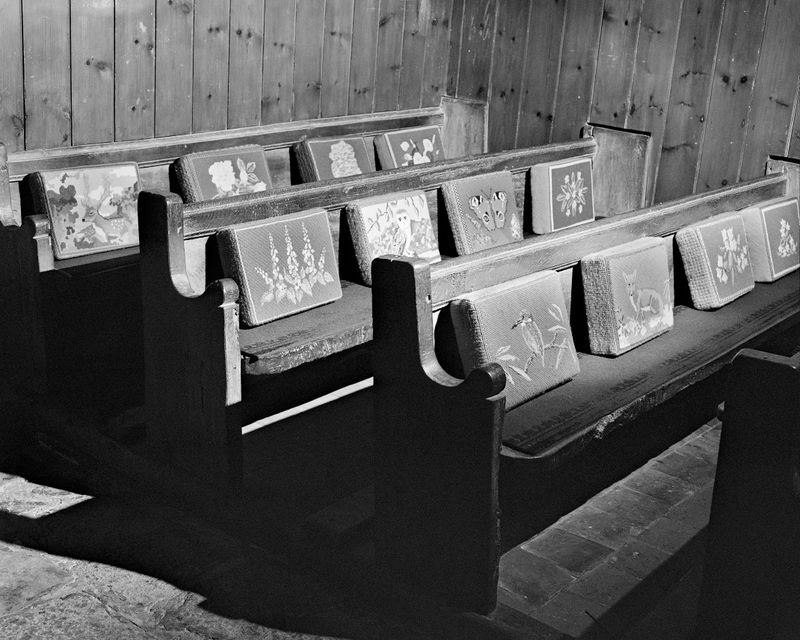 © Alice Poyzer - Stuffed Animals, 2024