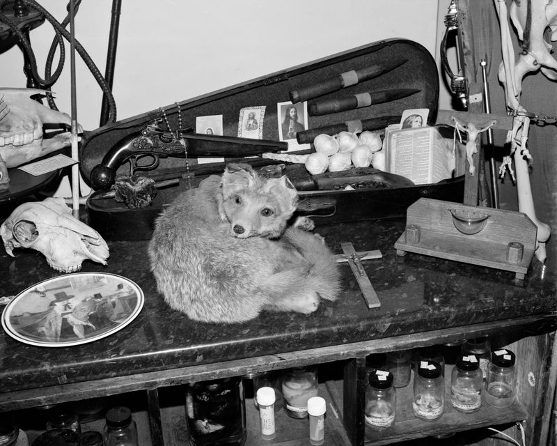 © Alice Poyzer - Untitled, 2024