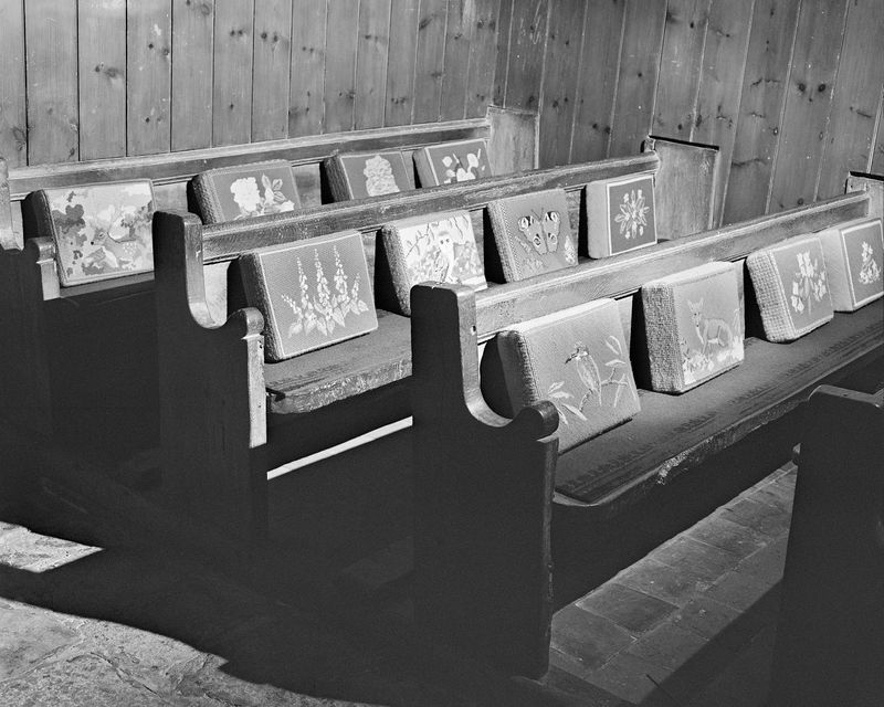 © Alice Poyzer - Stuffed Animals, 2024