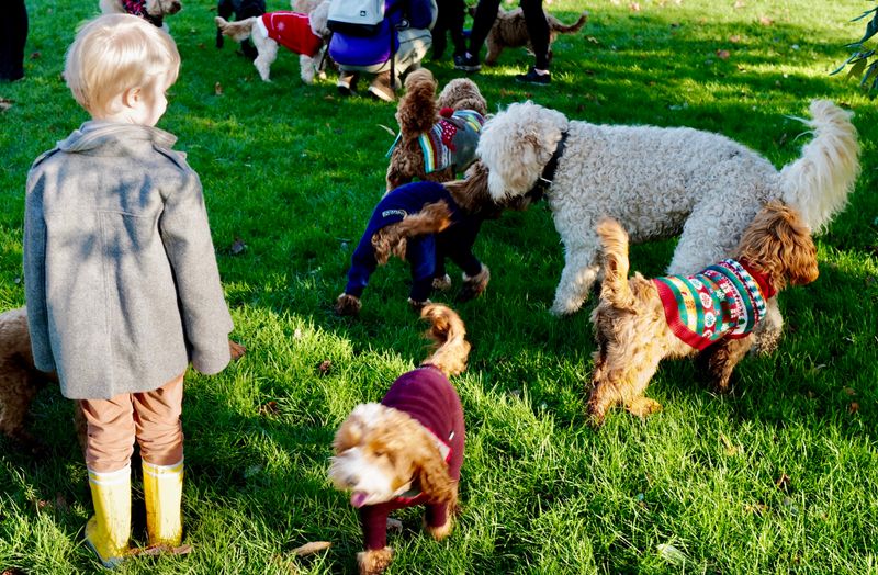 © Lex Takkenberg - Kensington Gardens, London, United Kingdom