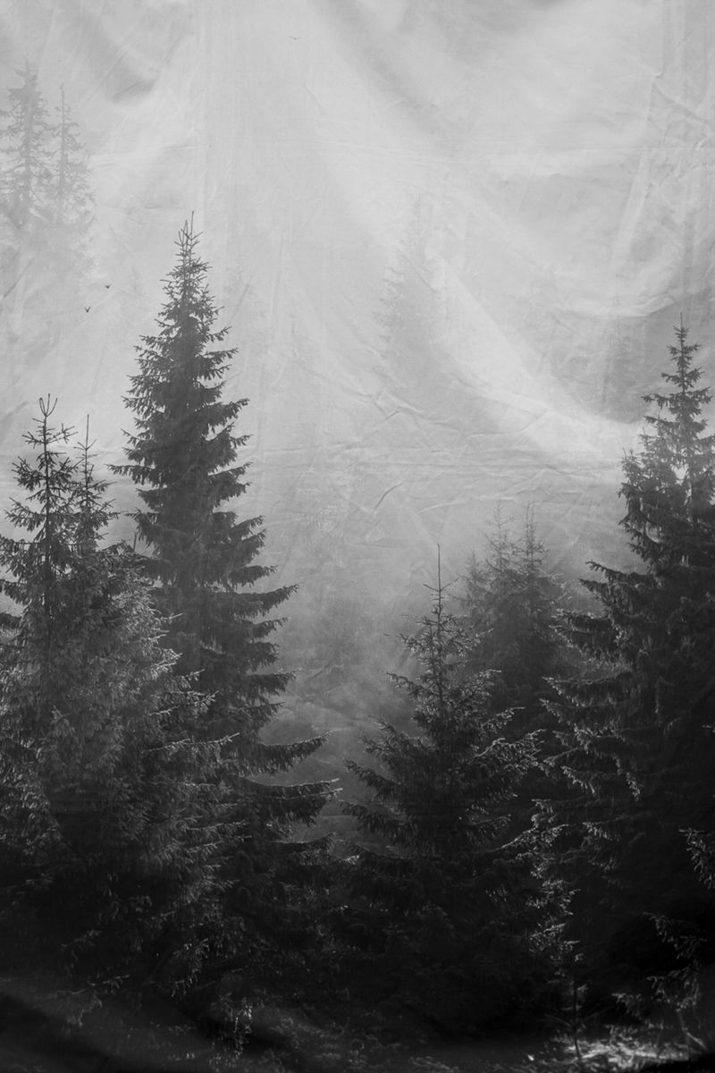 © leonardo taddei - Image from the There, there photography project