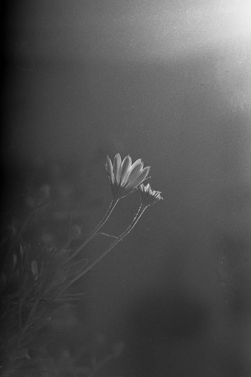 © leonardo taddei - Image from the There, there photography project