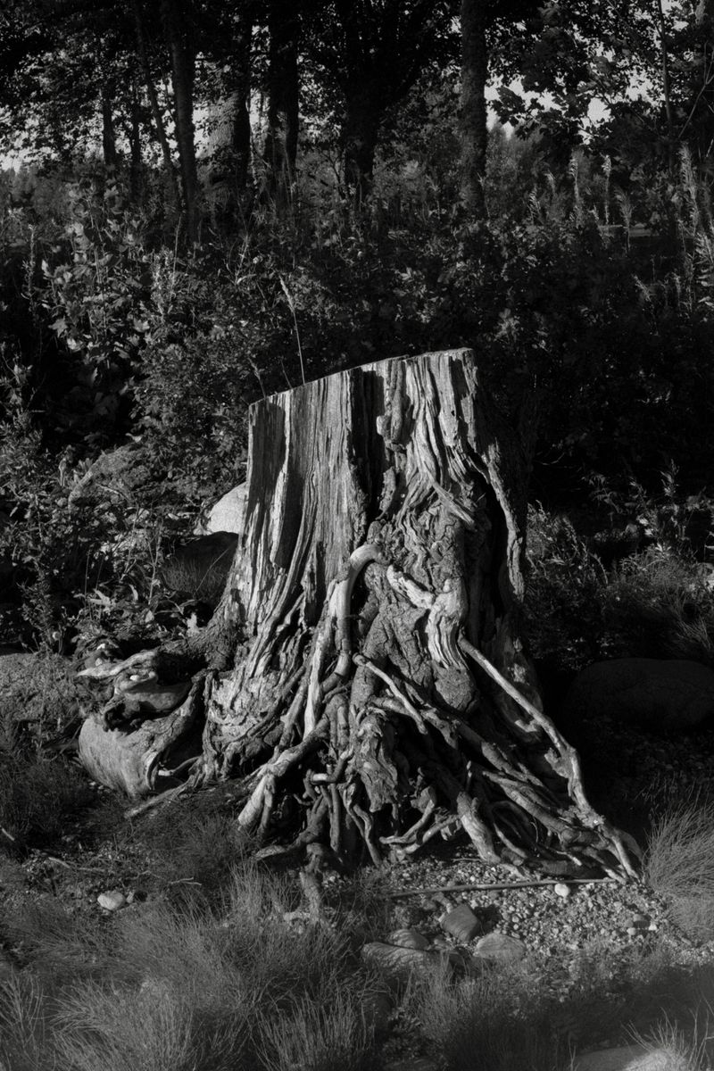 © leonardo taddei - Image from the There, there photography project