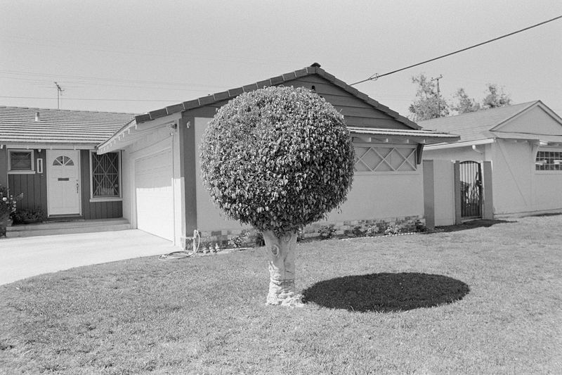 © Austin Leong - Image from the Our Time Together photography project