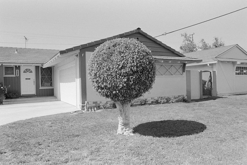 © Austin Leong - Image from the Our Time Together photography project