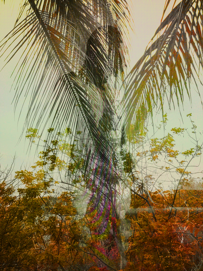 © Matthew Swarts - Untitled, 2017, from the series: The Alternatives.